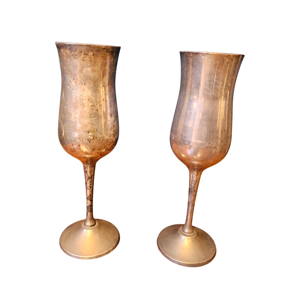Twos Company Silver Plated Champagne Flutes Set 2 Vintage Tarnish Made in India
